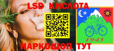 индика Пенза