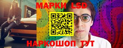 индика Пенза