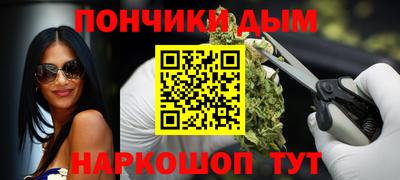 индика Пенза